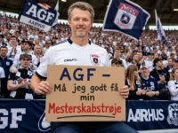 Kong trøje.webp