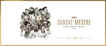 Danske Mestre.webp